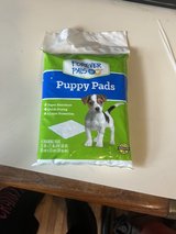 Puppy Pads in Fort Campbell, Kentucky