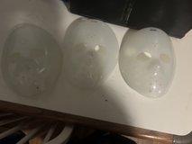 Face Mask in Fort Campbell, Kentucky