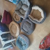 Alot of dog stuff in Lawton, Oklahoma