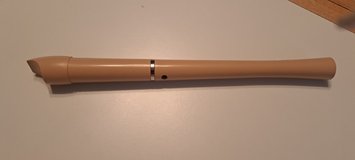 Flute ?? in Okinawa, Japan