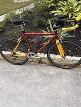 Quintana Roo TeQuilo Bike in Kingwood, Texas