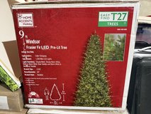 9 ft Windsor Frasier Fir LED Pre-Lit Tree in Aurora, Illinois