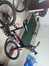 Girls one speed bicycle in Alamogordo, New Mexico