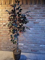 Plant decor - artificial in Spring, Texas