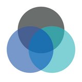 Solutions Digital Consulting in Kansas City, Missouri