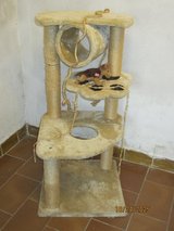 beige cat tree in Ramstein, Germany