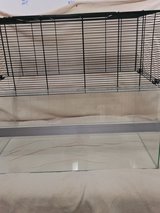 small animal terrarium in Baumholder, GE