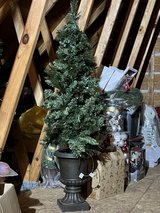 Christmas trees $15 each in Perry, Georgia