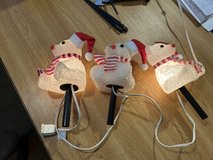 Polar Bears in Clarksville, Tennessee