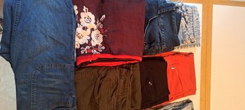 Size Medium with various sizes that equals to M. in Okinawa, Japan