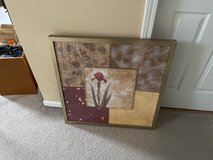 Framed Picture in Naperville, Illinois