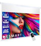 Electric Projector Screen in Wiesbaden, GE