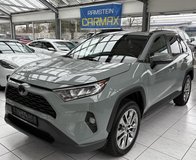 2019 TOYOTA RAV4 XLE PREMIUM in Stuttgart, GE