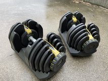 Big Adjustable Dumbbell Weights in Okinawa, Japan