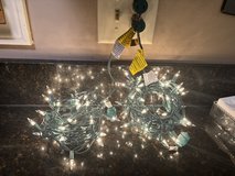 100 Warm White LED Mini Lights in Chicago, Illinois