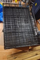 Medium Sized Dog Kennel in Ramstein, Germany