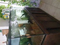 125 gallon aquarium with accessories in Yucca Valley, California