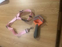 Pet Brush and Car Belt in Fort Campbell, Kentucky