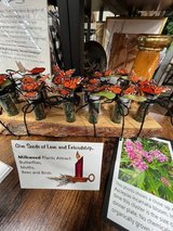 Are you Santa? in Batavia, Illinois