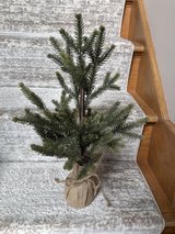 19” Faux Christmas Tree in Burlap Base in Chicago, Illinois