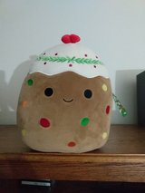 SQUISHMALLOWS FRUITCAKE in Aurora, Illinois