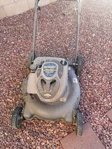 lawn garden in Alamogordo, New Mexico