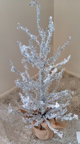 Beautiful Iced Snowy Christmas Trees in Alamogordo, New Mexico