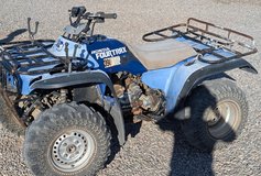 1990 Honda Fourtrax TRX300FW ATV in Alamogordo, New Mexico