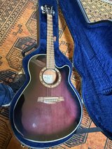 Ibenez AEF18 acoustic/electric guitar in Alamogordo, New Mexico