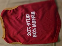 Puppy clothes in 29 Palms, California