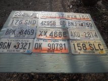 12 metal cat tags` in Byron, Georgia