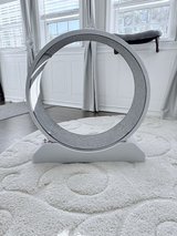 Cat Exercise Wheel in Warner Robins, Georgia