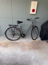 Ridgeback speed rapid bike in Okinawa, Japan