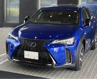 2019 Lexus UX250h F Sport in Okinawa, Japan