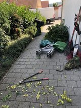 FALL CLEAN UP, YARD WORK, TRASH REMOVAL in Wiesbaden, GE