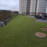 WE BUY JUNK CARS in Okinawa, Japan