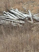 free wood for burp in Rolla, Missouri