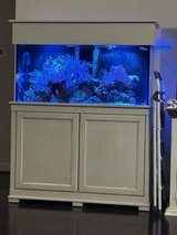100 Gallon Saltwater Fish Tank in Houston, Texas