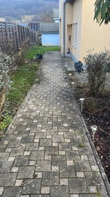 WINTER / FALL LEAVES ?? CLEAN UP, TRASH HAULING, YARD WORK in Spangdahlem, Germany