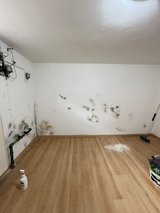 ?? Professionelle Dienstleistungen für Ihr Zuhause ?????? in Wiesbaden, GE