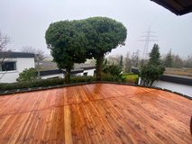 by Jess: first move-in! 5 BR Thouse - 7 miles to Clay in Wiesbaden, GE