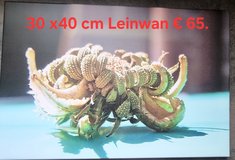 Unique canvas in Baumholder, GE