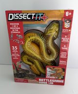 DISSECT-IT+ SNAKE DISSECTION KIT!  New. Great Experience for Kids who Love Science! in Beaufort, South Carolina