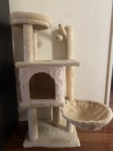 cat tower in Okinawa, Japan