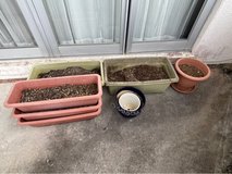 Flower Pots in Okinawa, Japan