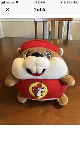 Buc-ee’s Beaver Plush By Jaag Round Stuffed Animal Gas Station Store Advertising in Fort Campbell, Kentucky