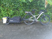 1500 watt ebike in Okinawa, Japan