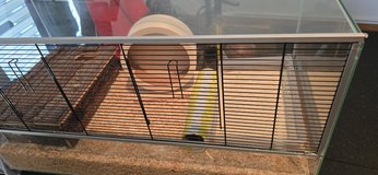 Hamster Enclosure in Stuttgart, GE