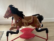 Rocking Horse in Kingwood, Texas