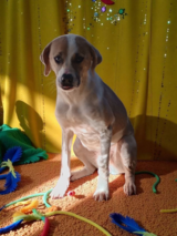 Sweet girl in Leesville, Louisiana